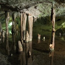 Can Marça Caves