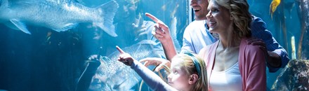 Woods Hole Science Aquarium