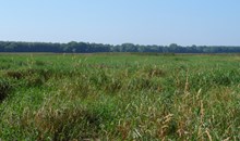 Minnesota Valley National Wildlife Refuge