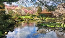 Shofuso — Japanese House & Garden