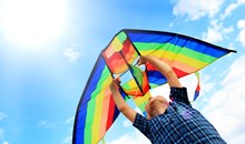 The Kite Company