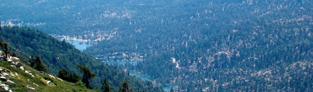 Bear Valley Resort