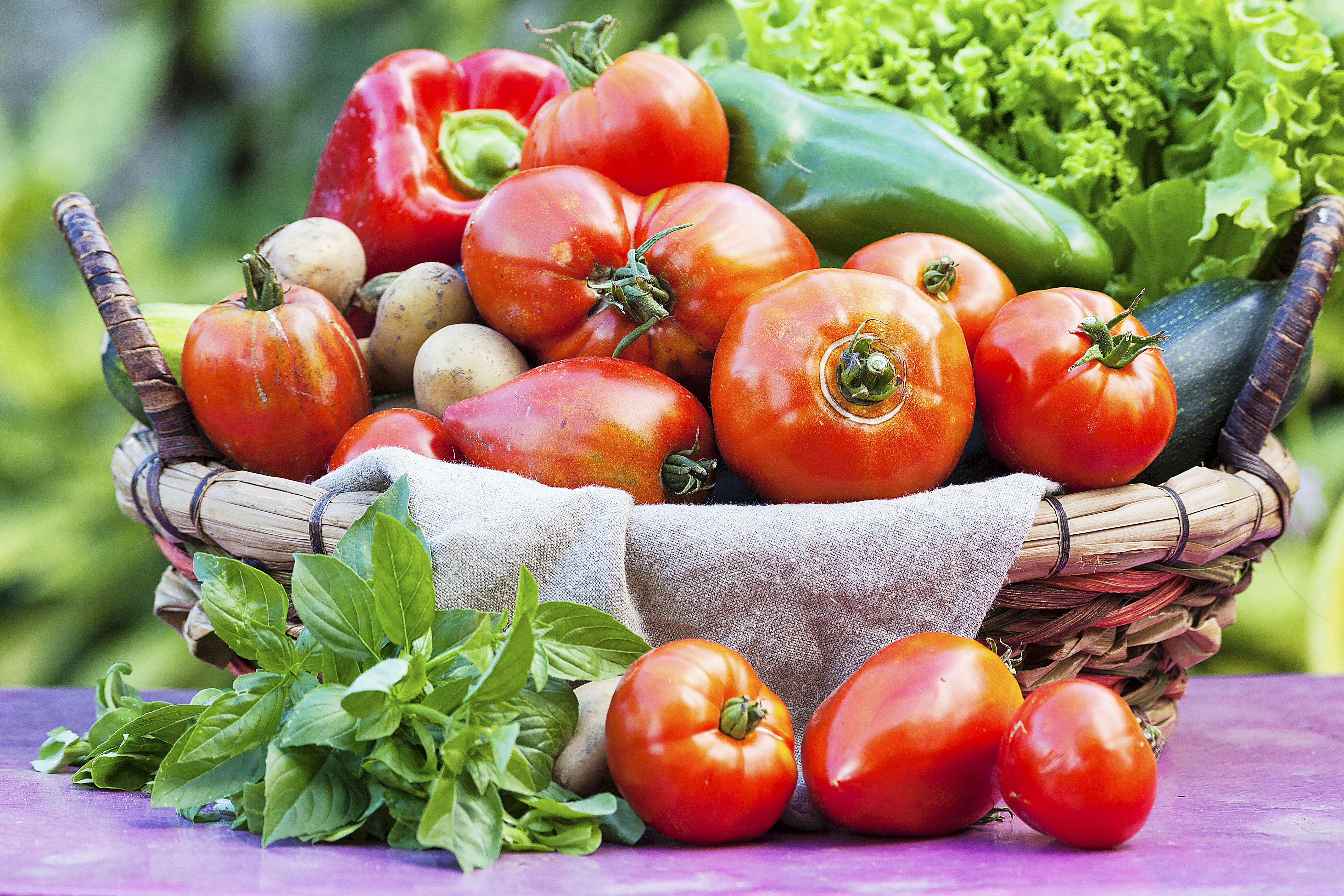 Vegetables in a basket on table under sunlight