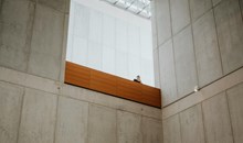 Museum of Fine Arts