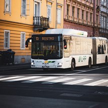 Public Transport