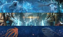 5D Extreme Attraction