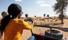 Ecotourism