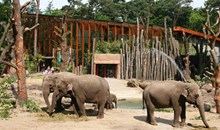 Amersfoort Zoo