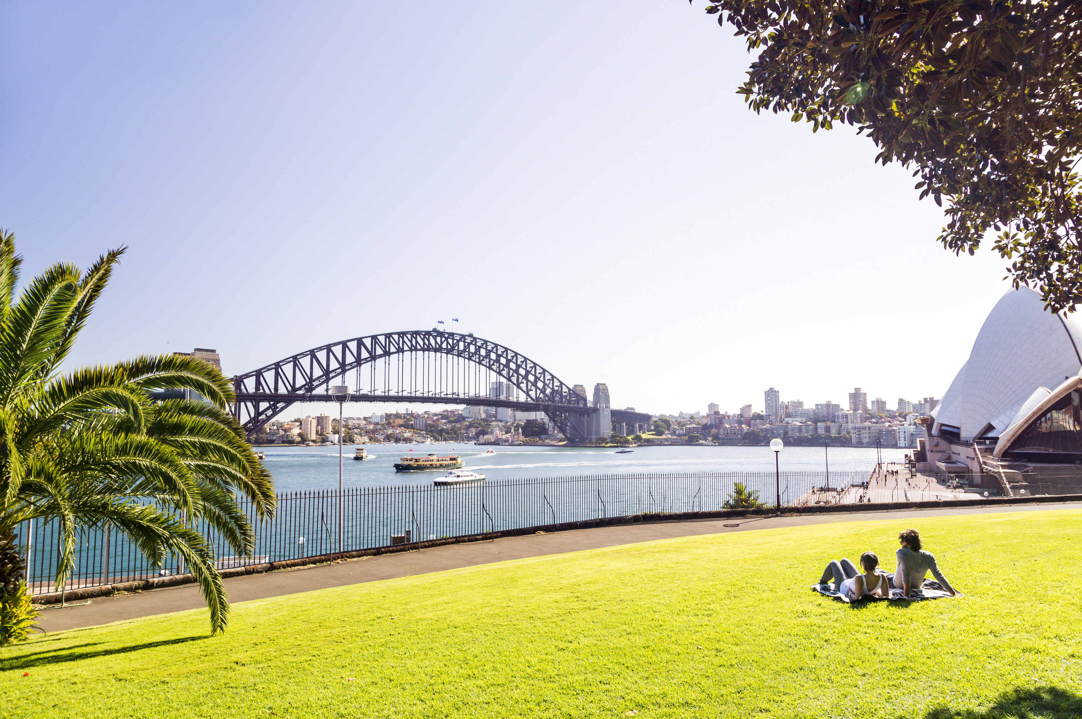 Relaxing at Royal Botanic Gardens with views to Hardbour Bridge and Opera House