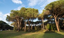 San Rossore Natural Park and Estate