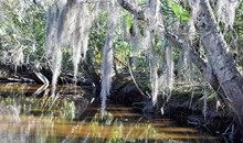 Jean Lafitte National Historical Park & Preserve