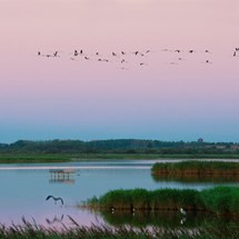 Nature destination