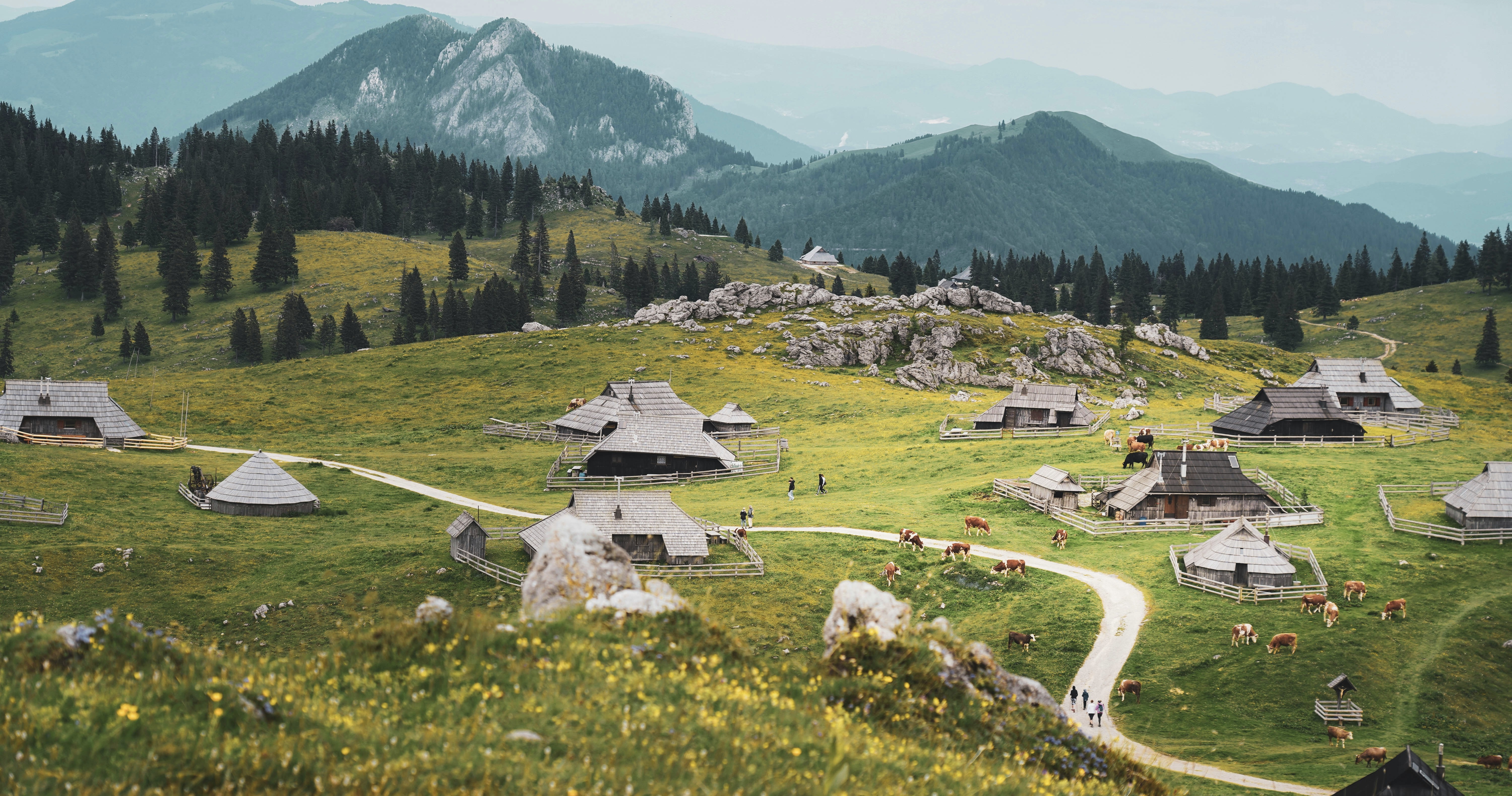 lush landscape of Velika Planina, with huts and cows and tourists