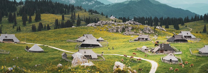 lush landscape of Velika Planina, with huts and cows and tourists