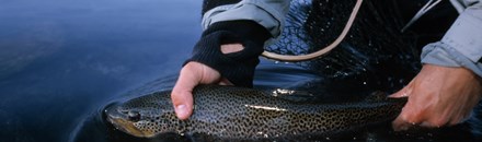 Fishing in Lapland