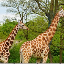 Lodz Zoo