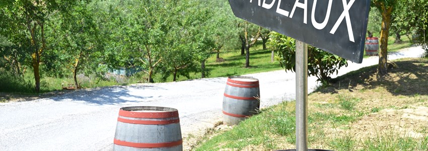 BORDEAUX arrow and wine barrels along rural road