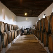 El Grifo Winery & Museum