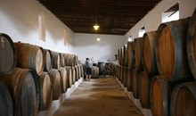 El Grifo Winery & Museum
