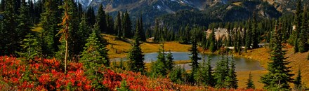 Mount Rainier National Park