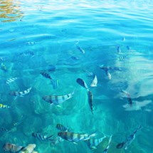 Cruise The Yasawa Islands