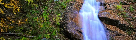 Flume Gorge