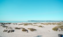 Silver Strand State Beach