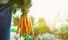 Grebar Farms
