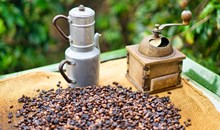 Valle de Agaete — Where the Coffee Grows