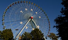 Fair Park
