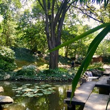 Jevremovac Botanical garden