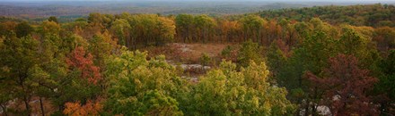 Lakeside Forest Wilderness Area
