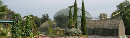 Conservatory & Botanical Garden