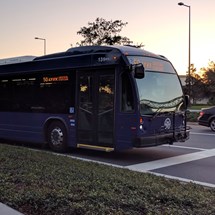 Public Transport