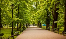 Planty Park