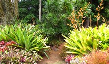 Allerton Garden