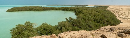 Farasan Island