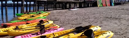 Paddle and Pedal Adventures Rentals and Sales