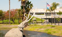 La Brea Tar Pits