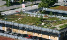 Augustenborg eco-city and roof gardens