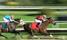 Tampa Bay Downs