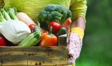 San Diego Organic Farms