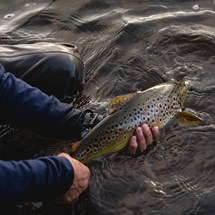 Central Highlands Fly Fishing