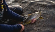 Central Highlands Fly Fishing