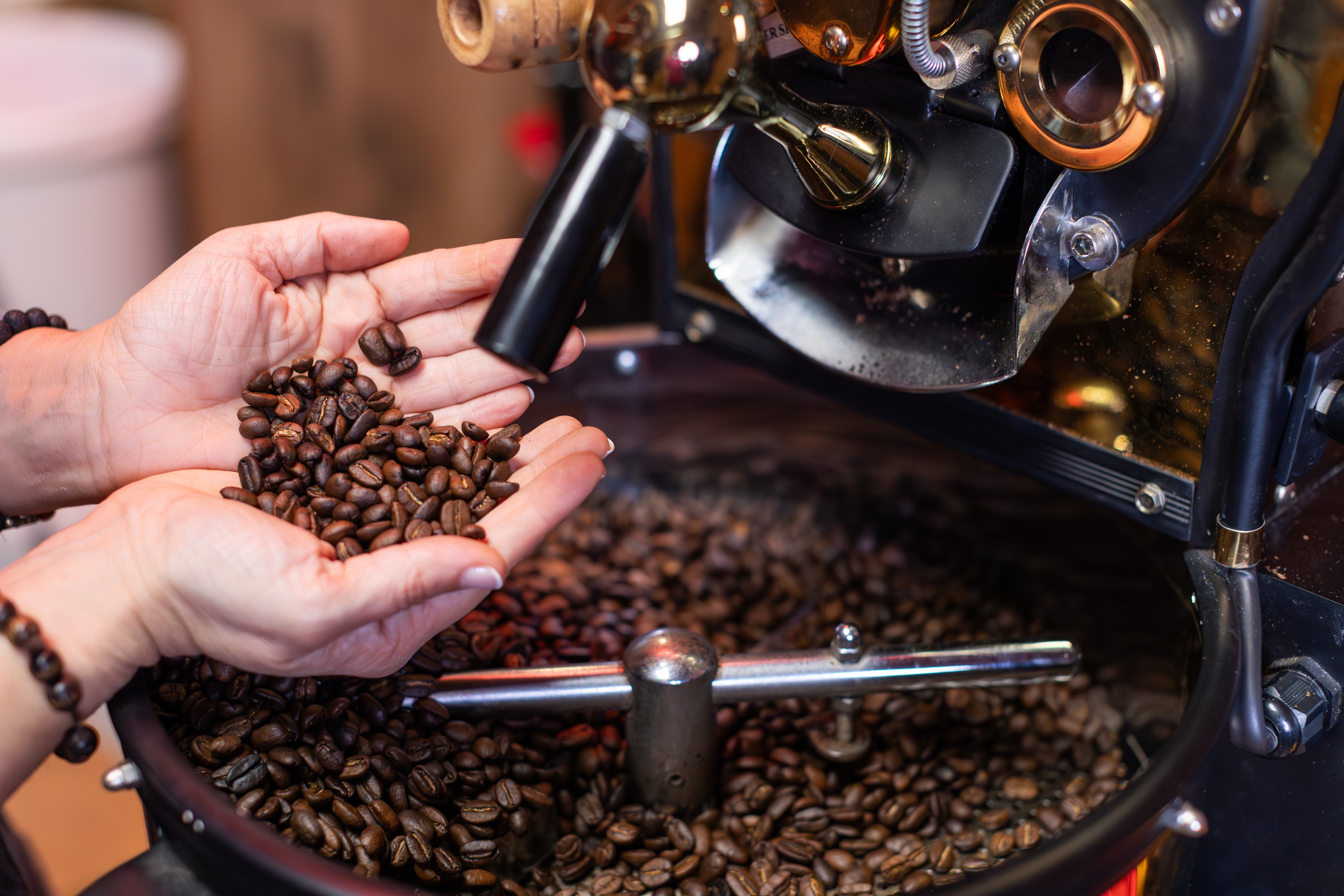 Professional coffee bean roasting machine