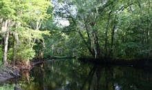 Hobcaw Barony