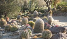 The Living Desert Zoo and Gardens
