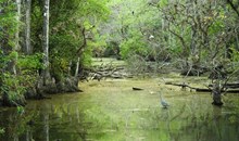 Big Cypress National Preserve