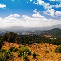 Entoto Hills