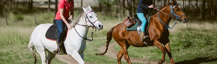 Chapman Valley Horse Riding